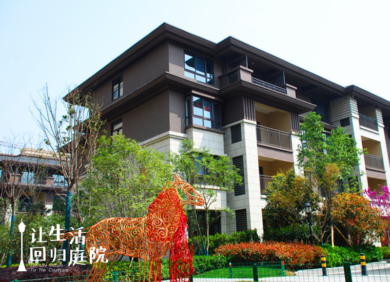 前后观望南阳50年：这样的庭院，很难再有了！