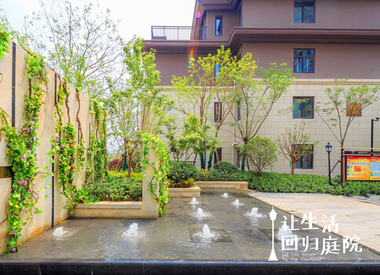 前后观望南阳50年：这样的庭院，很难再有了！