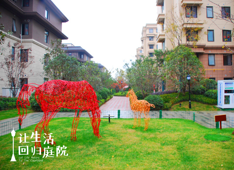 前后观望南阳50年：这样的庭院，很难再有了！