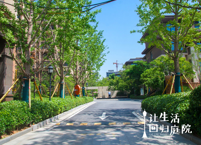 前后观望南阳50年：这样的庭院，很难再有了！